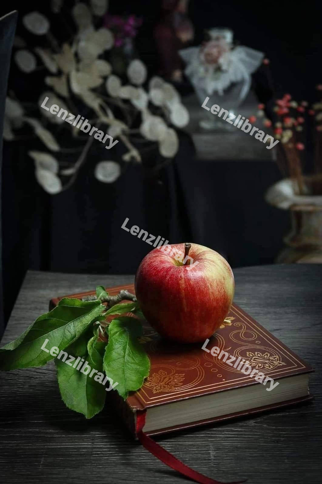 A red apple on top of a book